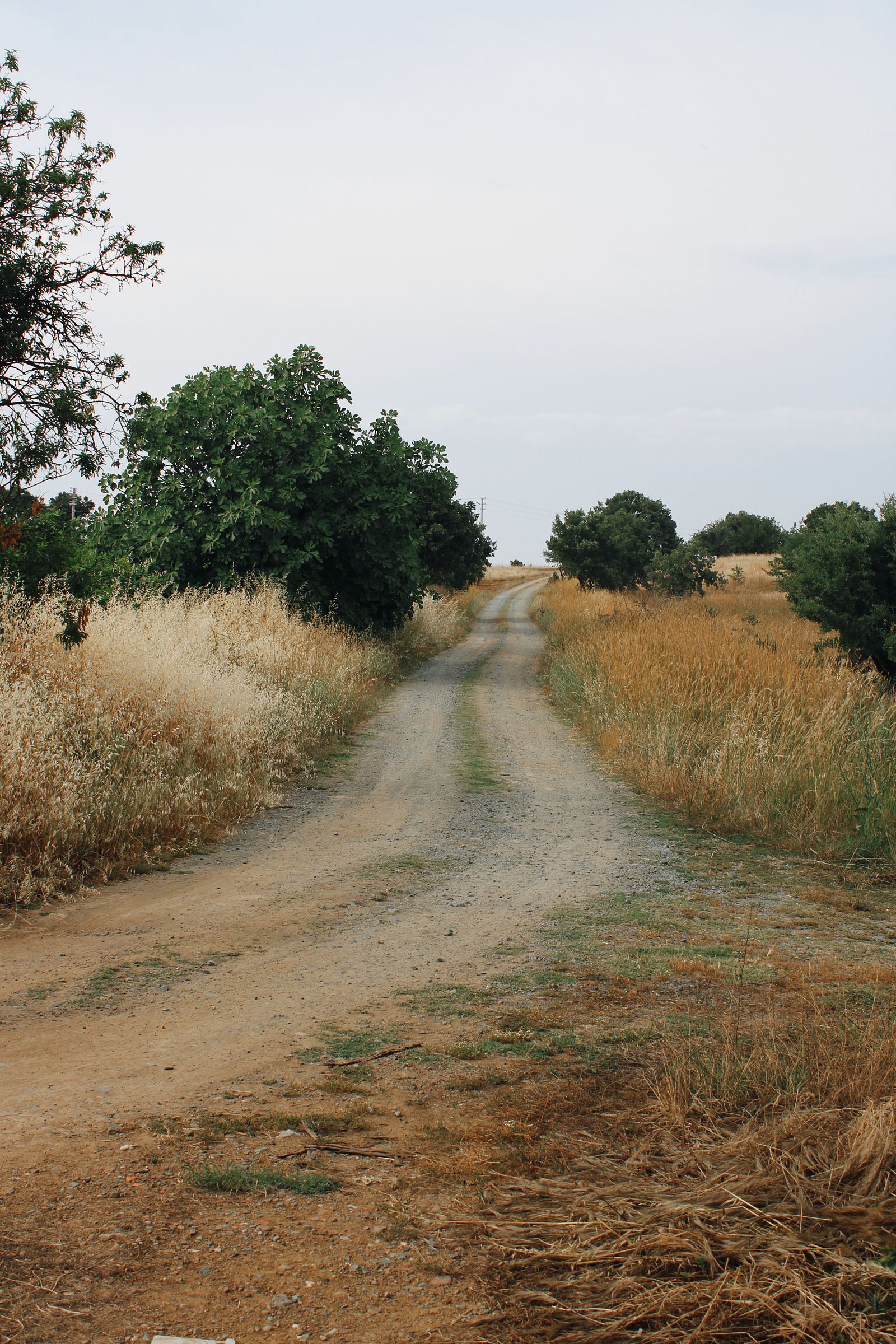 Serene Rural Dirt Pathway Leading Through Countryside — Roaming Cost Calculator works for anonymous visitors — answers first, signup never forced.