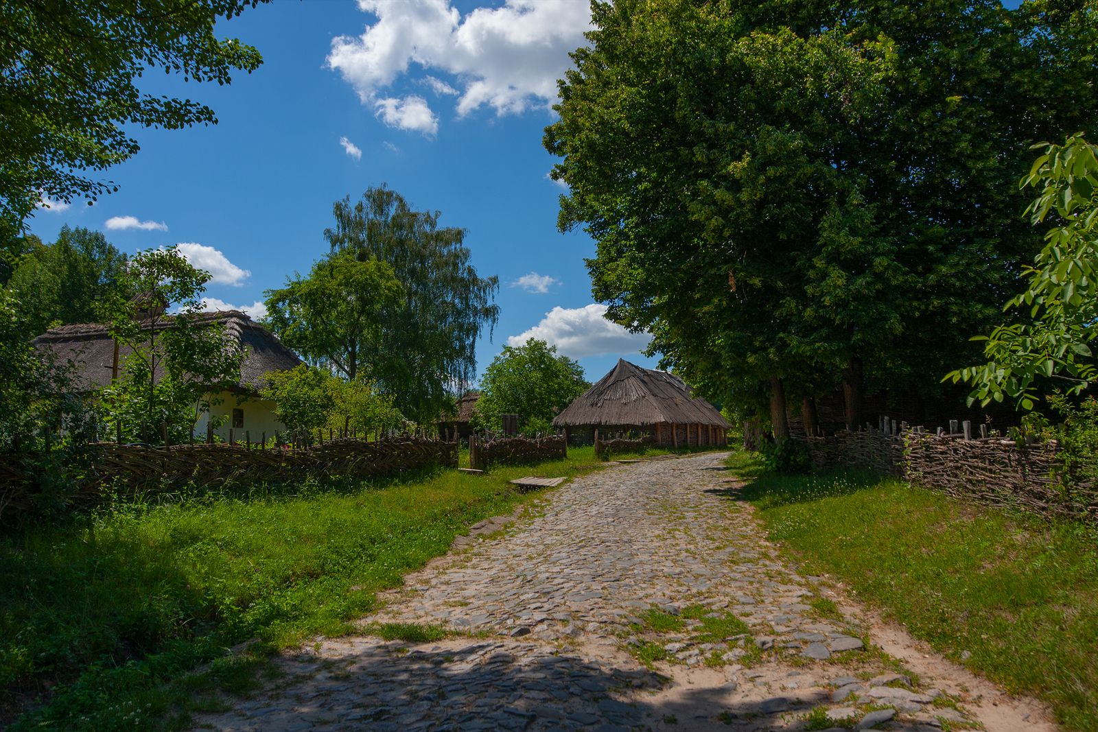 Neacsu Tudor — Real journeys, real connectivity — this is what the product is for.