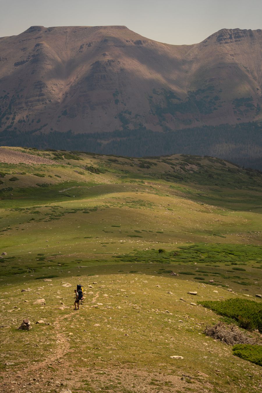 a person riding a bike on a grassy hill — Real journeys, real connectivity — this is what the product is for.