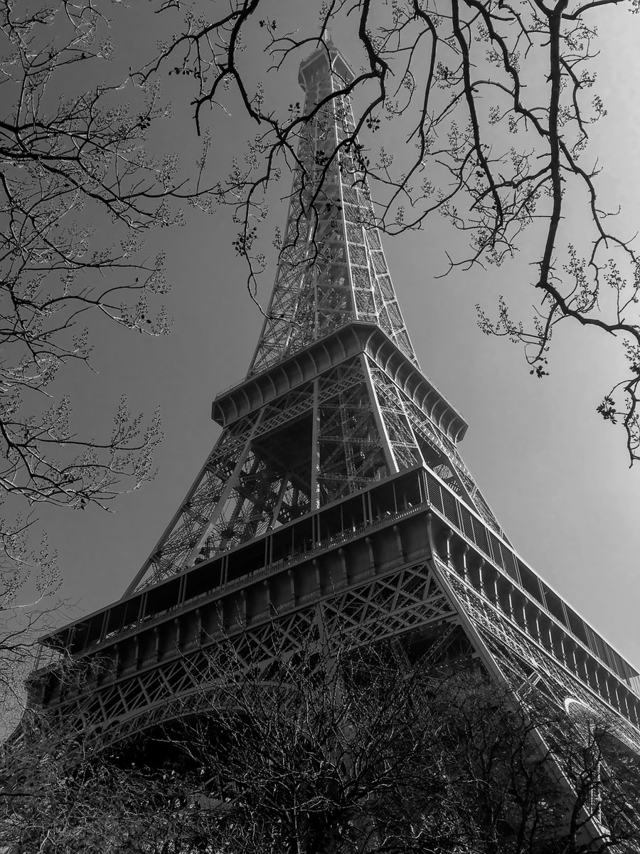 black and white eiffel tower framed by trees — Japanのフェスティバル：待ち合わせ場所をピン留め、人混みで友人を発見。