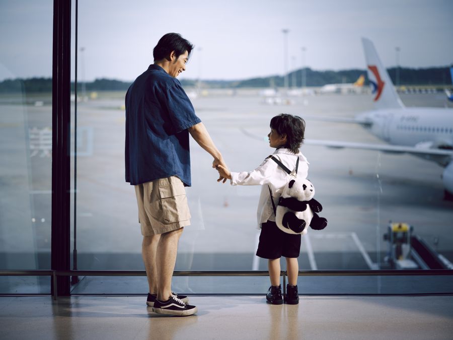 father and child holding hands at airport window — The spec grid shows exactly what Country Connectivity Fact Sheet accepts and what it returns.