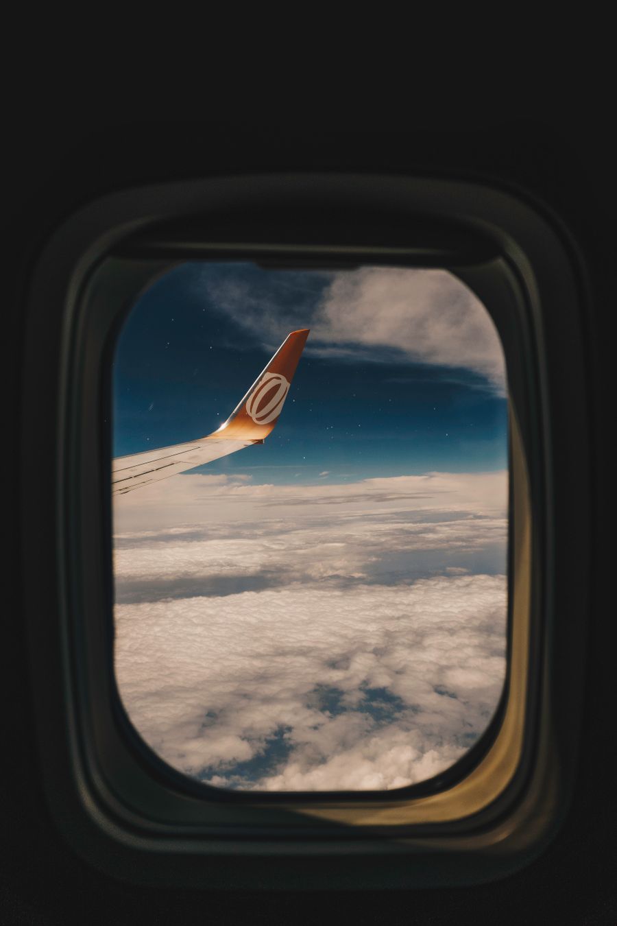 aircraft wing
