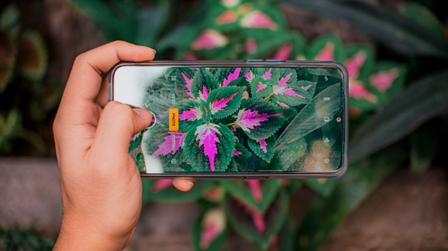 person taking photo of exotic plants with smartphone — Support: 窓側シートのオフィス：大洋の上空どこかでメール送信。
